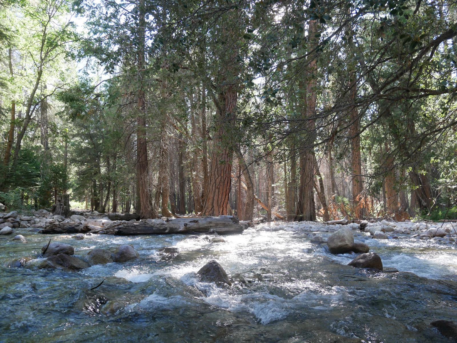 Creek, almost the end