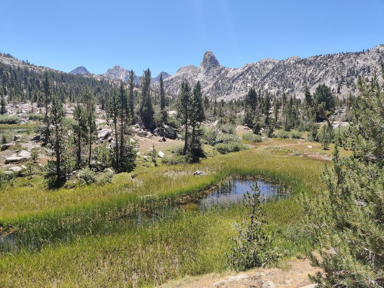 Rae Lakes Meadows