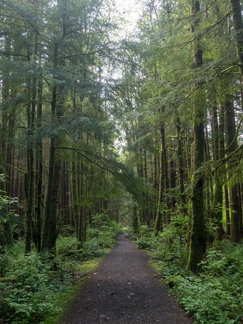 Hike out in forest