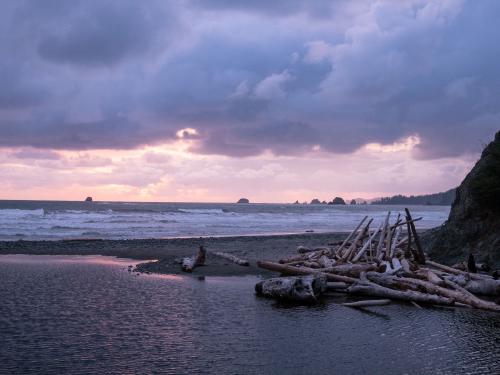 Mosquito Creek Beach