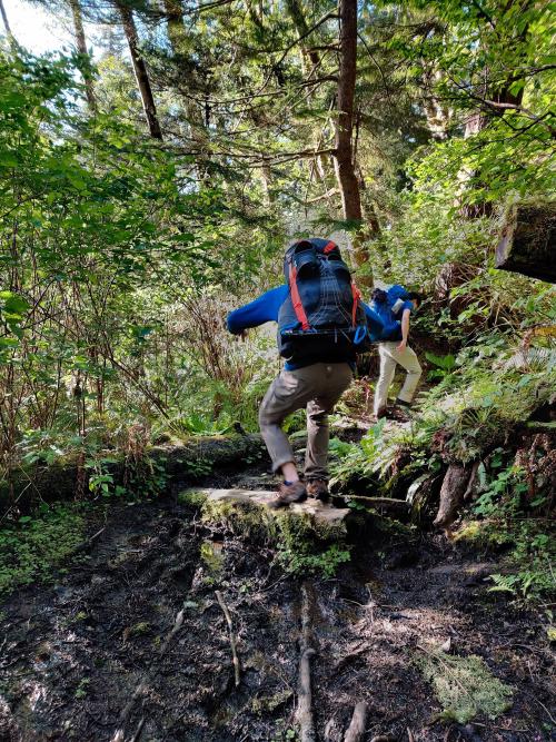 Muddy Trail