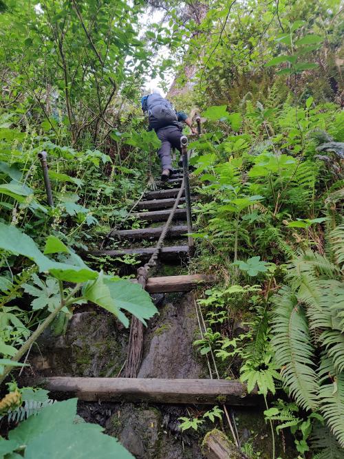 Rope Ladder