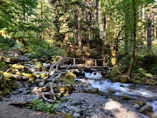 One of the many creek crossings you’ll find on the trail