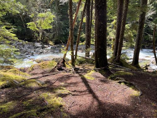 Middle Fork Trail