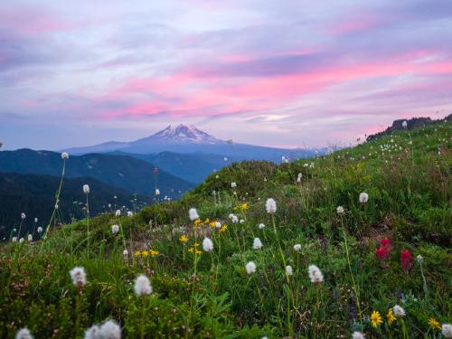 Mt Adams Sunset