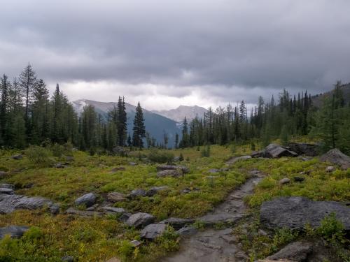 Tumbling Pass Meadow