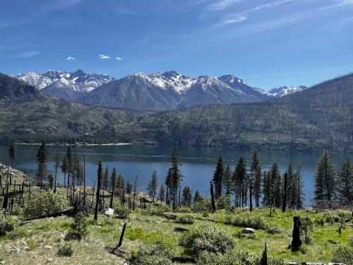 Typical view from the trail