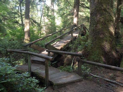 Boardwalk on the trail