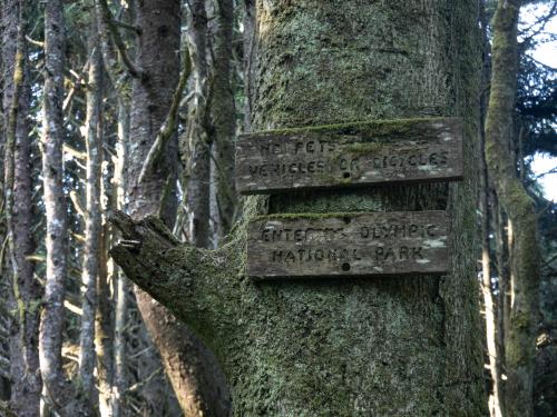 Olympic National Park Sign