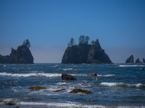 Heavy surf at Shi Shi Beach