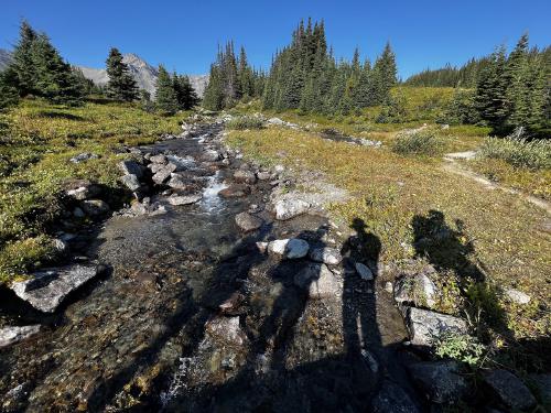 Self portrait on a creek