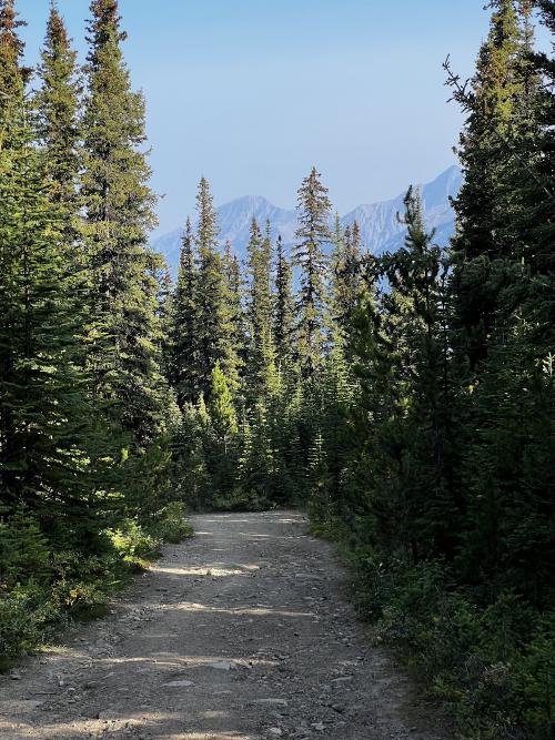 Hiking down a boring fire road