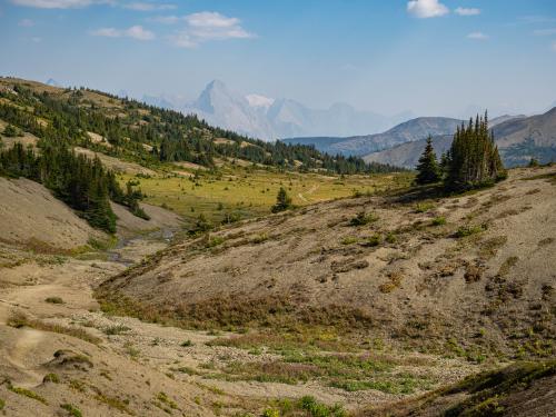 A mountain pass with glaciers