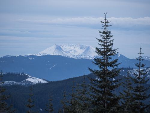 View of Mt Saint Helens