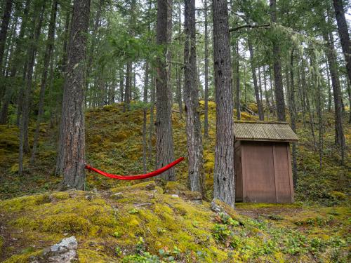 Hammock - set