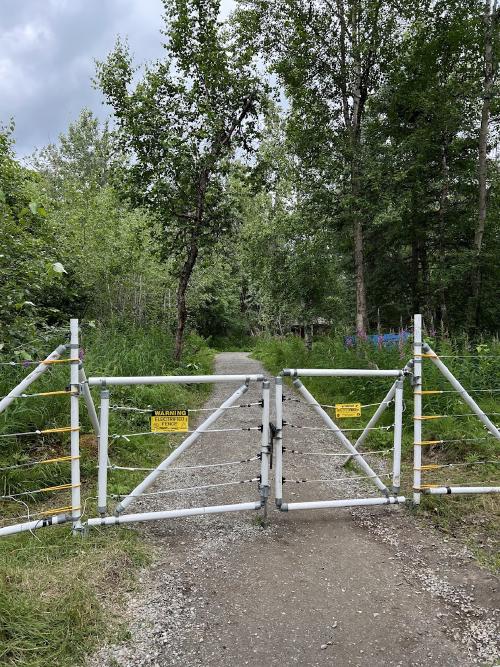 electrified fence at brooks camp campground