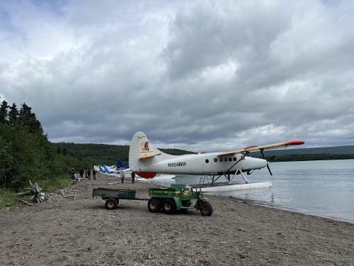 line of floatplanes on the beach