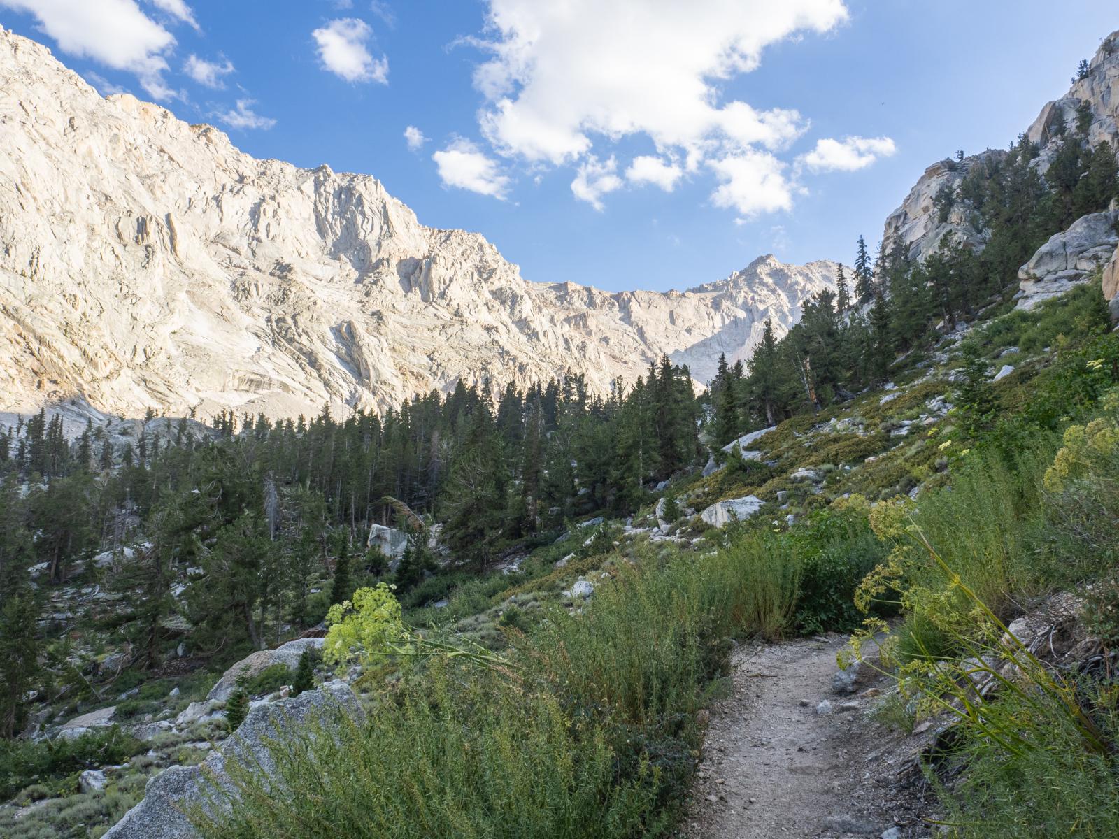 Hiking up Whitney Portal