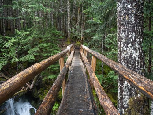 Trail Bridge across Sol Duc River