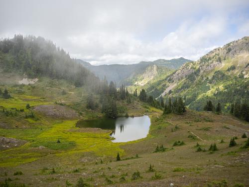 heart Lake in the dog