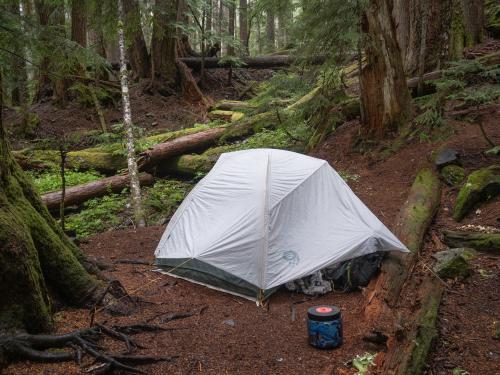 Tent in forest