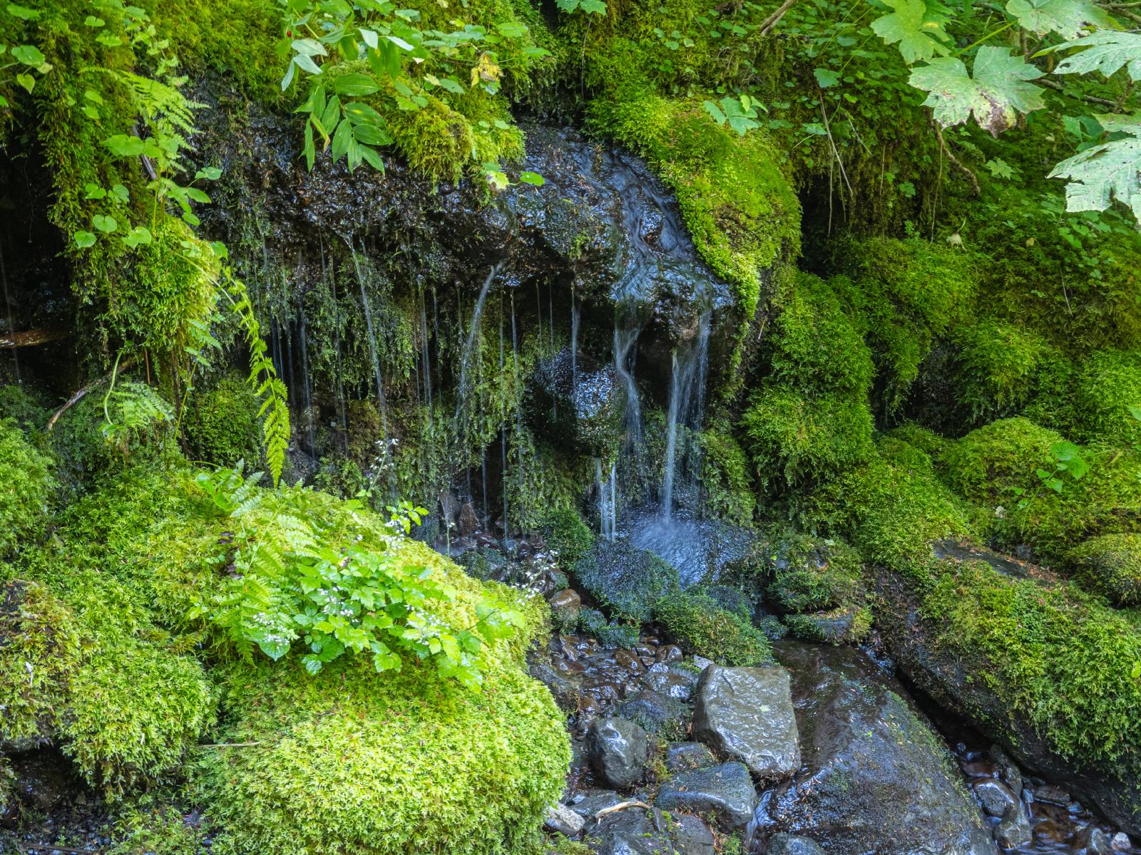 little water source