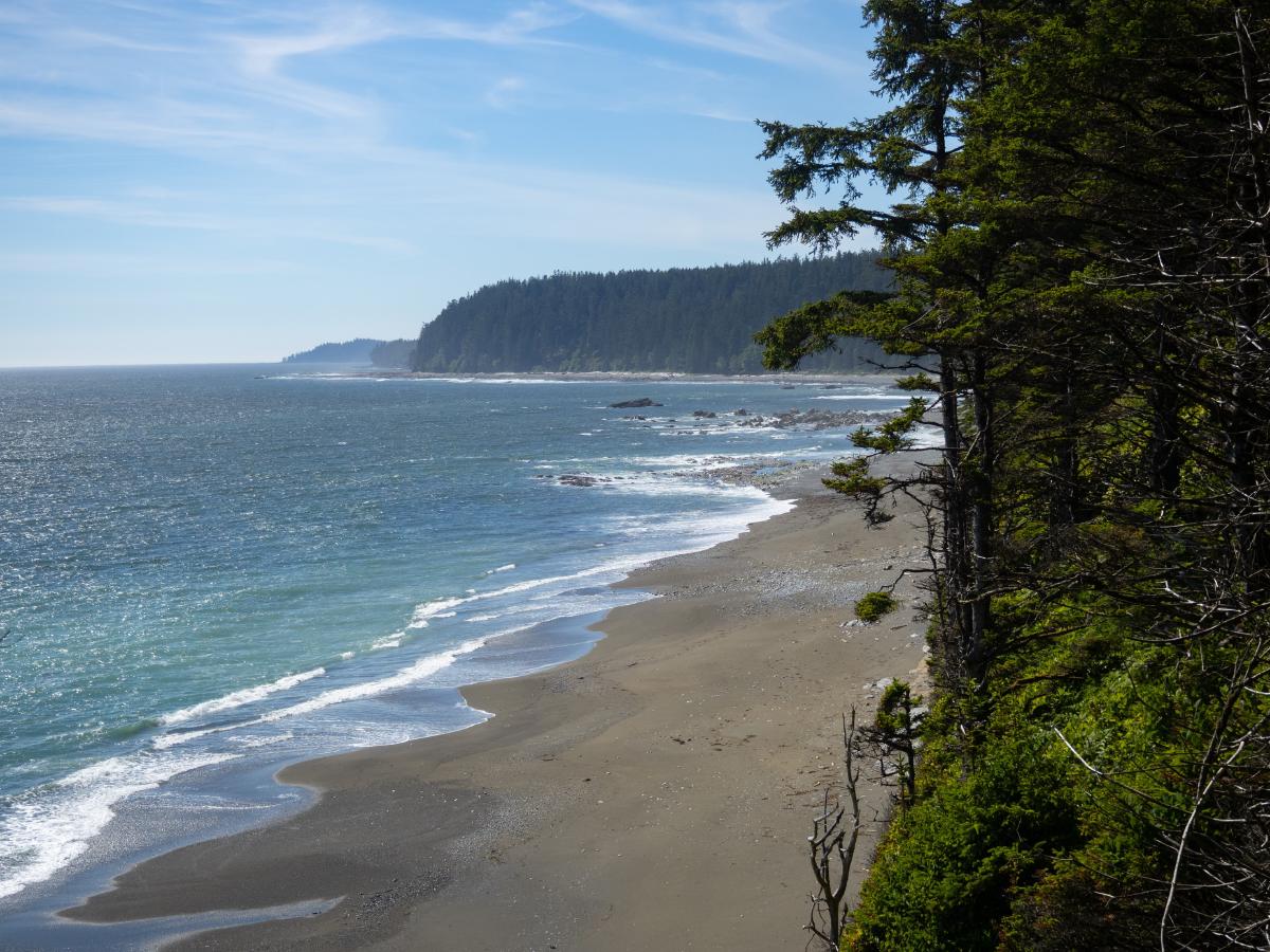 View of the beach from a cliffside resting spot