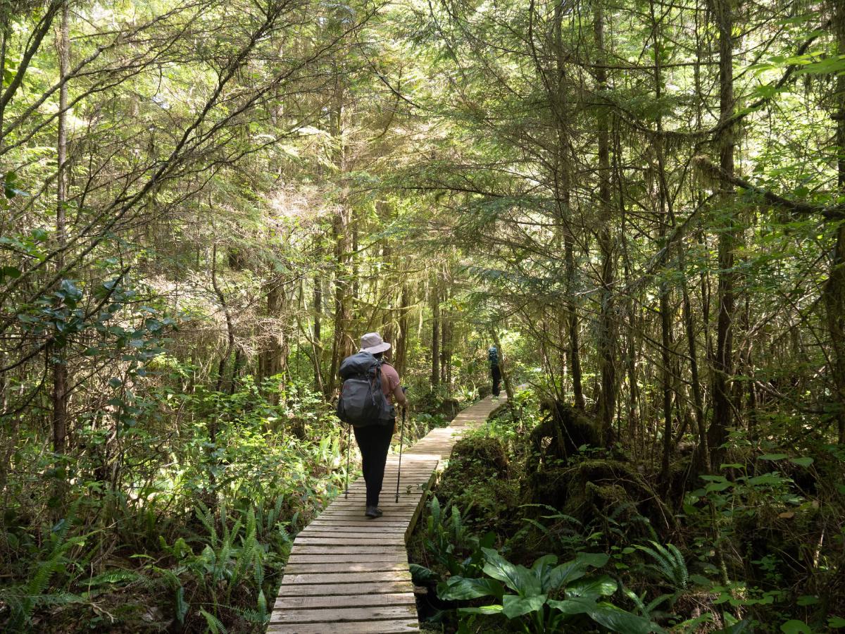 One of many boardwalks we saw on the trail