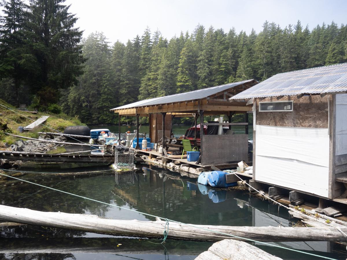 The crabshack