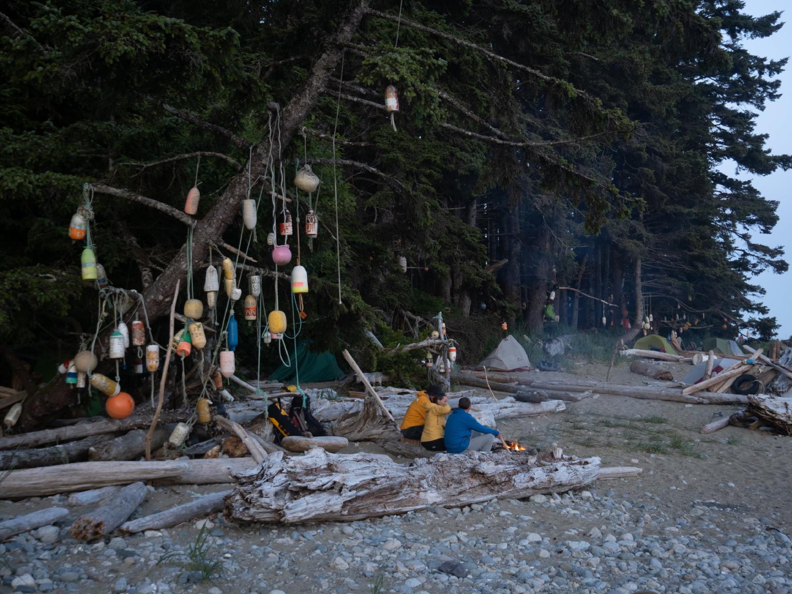 Old Floats on tree