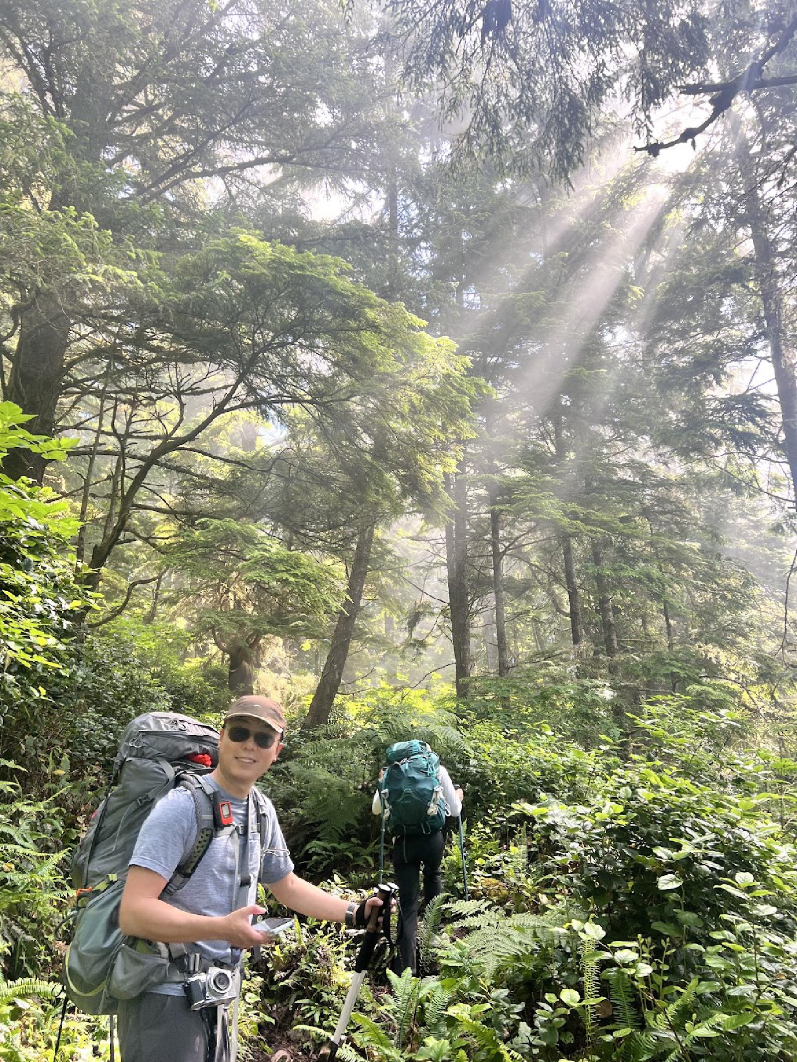 Author hiking in the forsst with sun rays