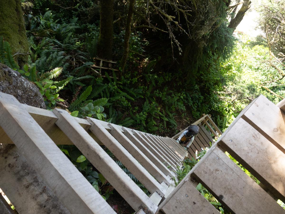 Peering down a ladder