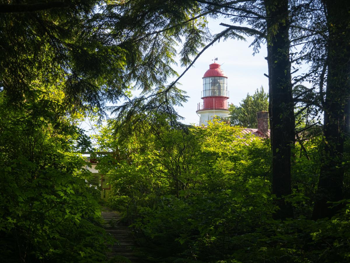 Looking at a the Pachena light station in the forest