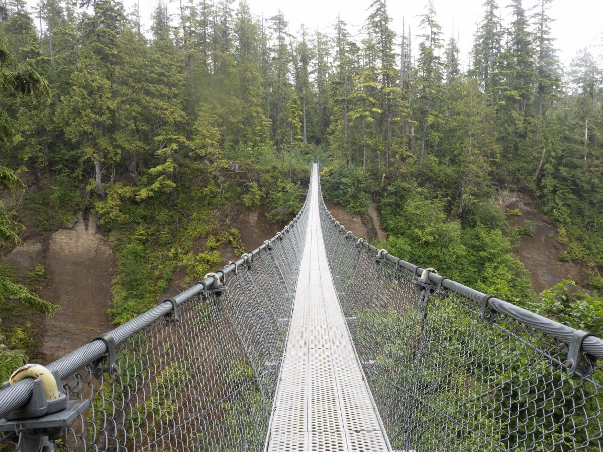 Logan Creek Suspension Bridge, brand new and the trail's longest crossing