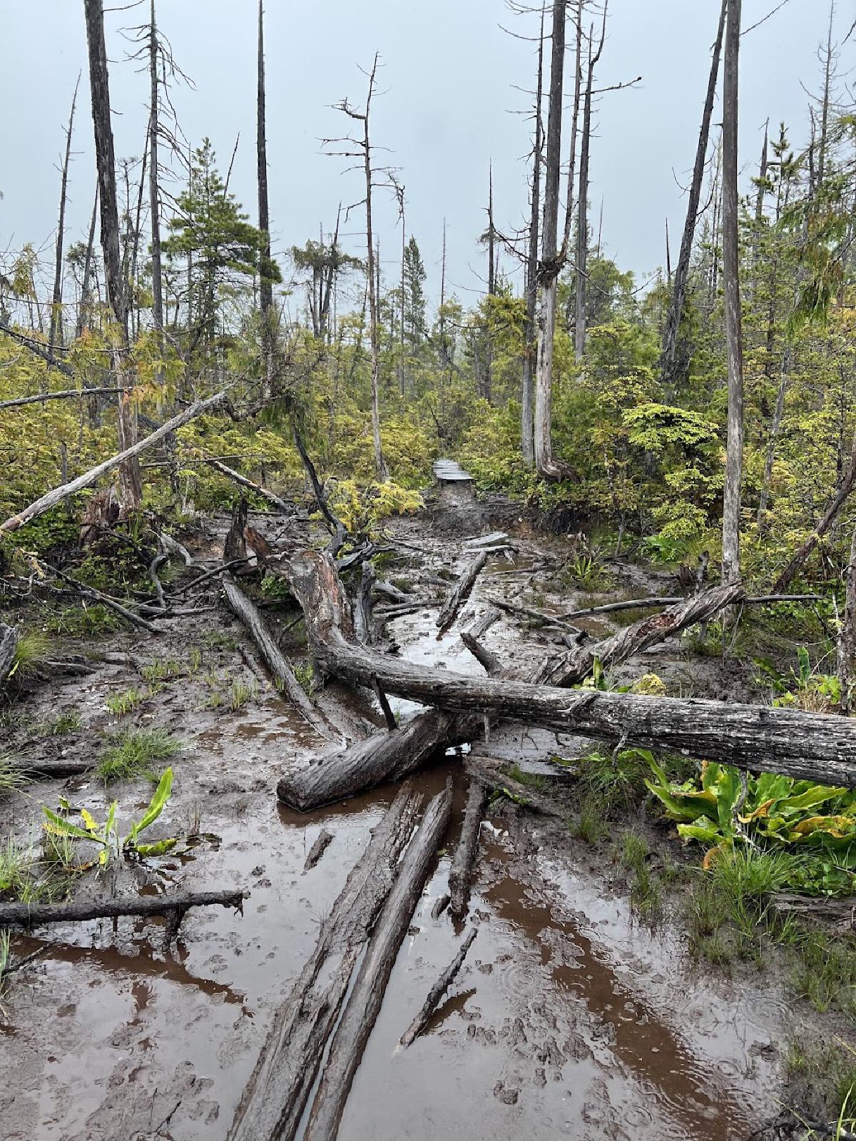 Some of the worst patches of mud puddles