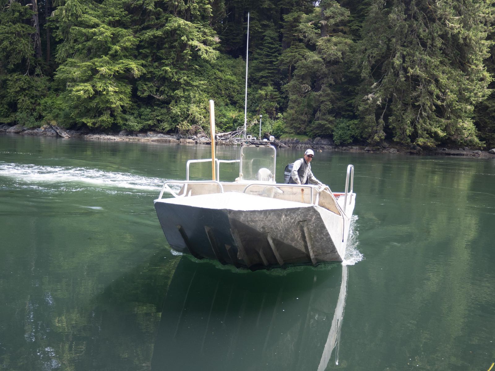 Ferry at Nitinat Narrows