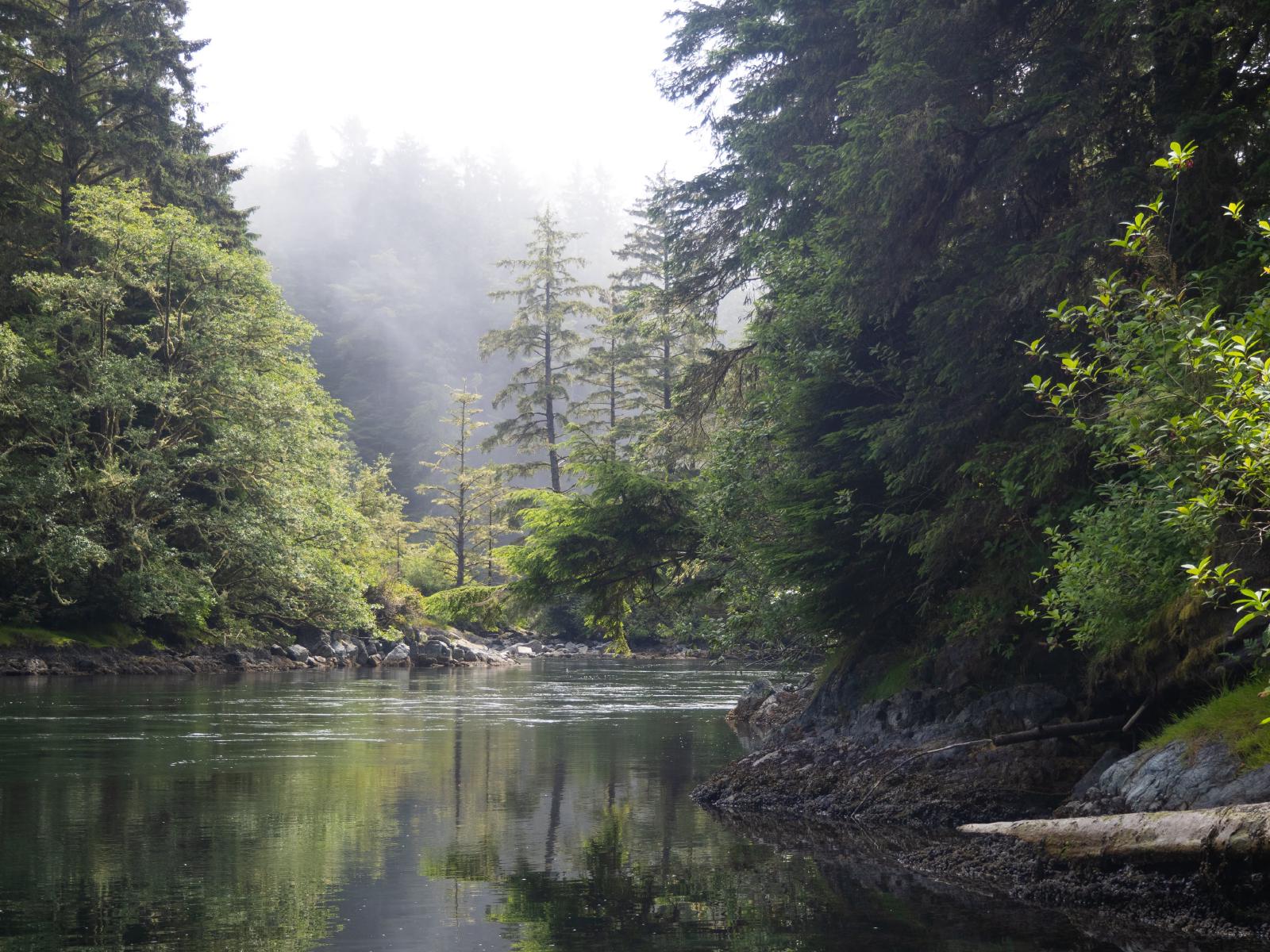 Nitinat Narrows