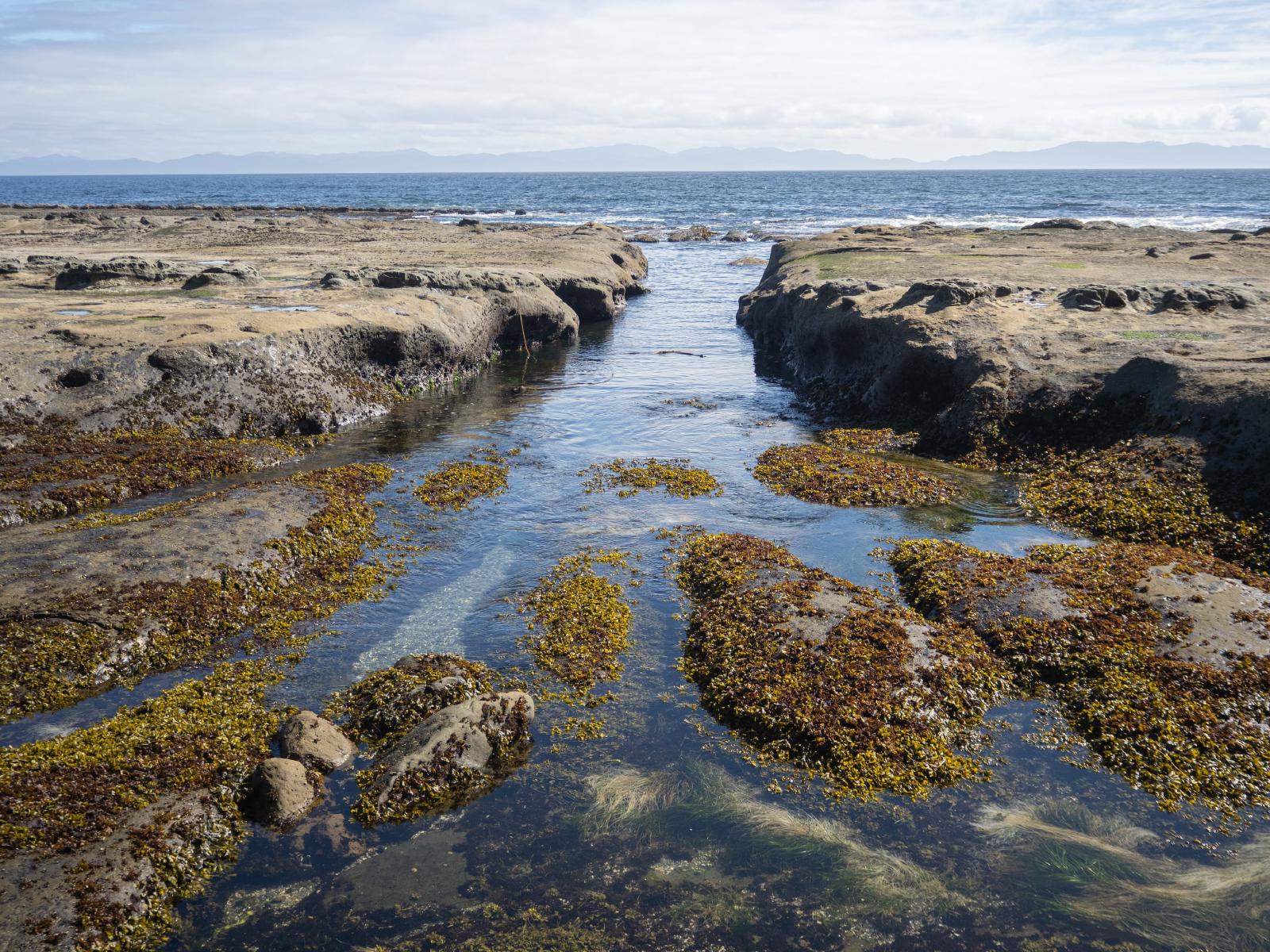 Surge Channel with views of the ocean