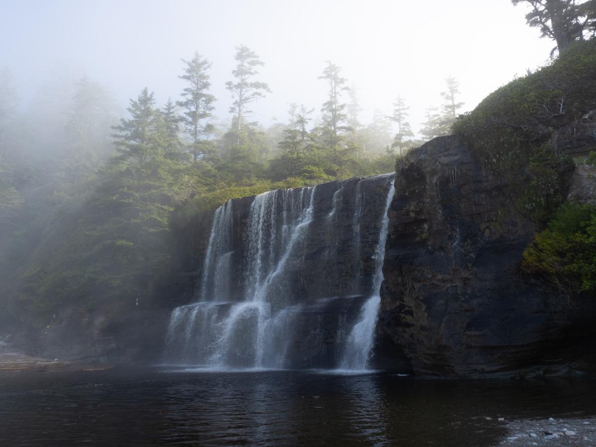 Tsusiat Falls in the morning fog