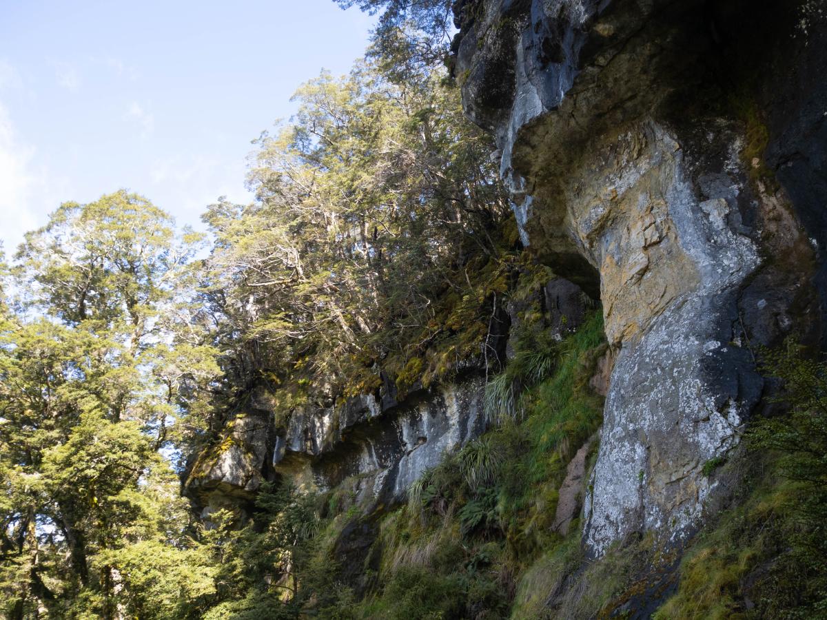 The cliff marks the start of the treeline