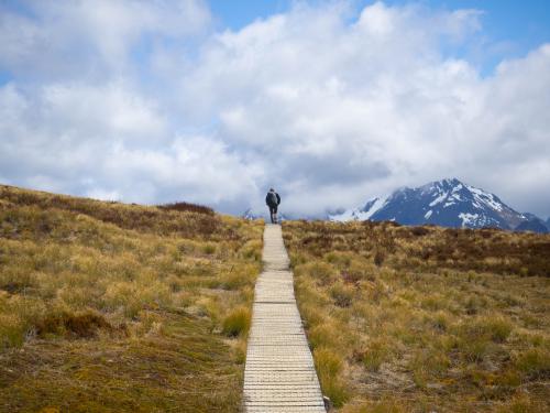 A fellow hiker walking on boardwalk