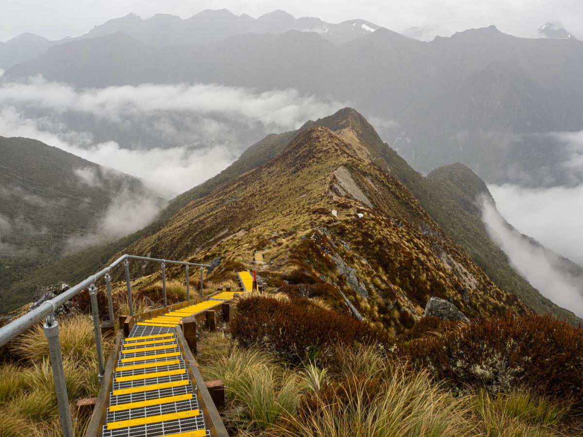 A steep drop indeed...