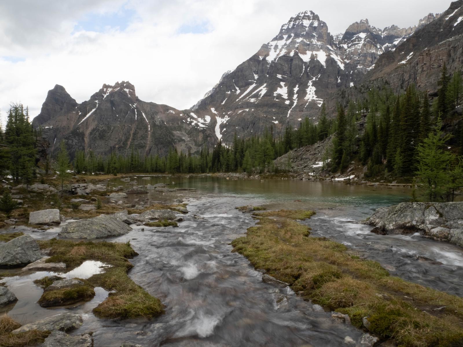 The Opabin Plateau