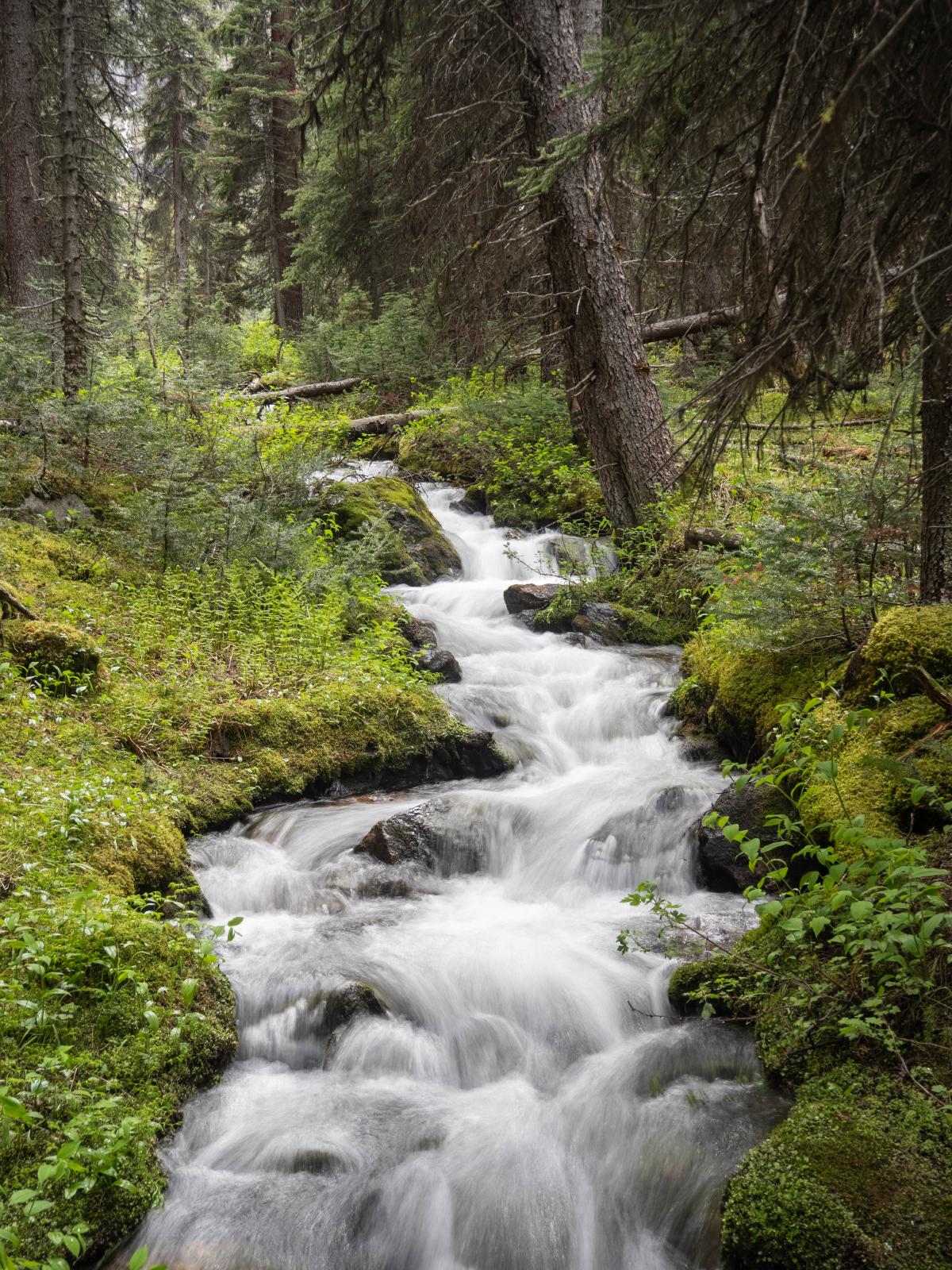 A stream near the campground