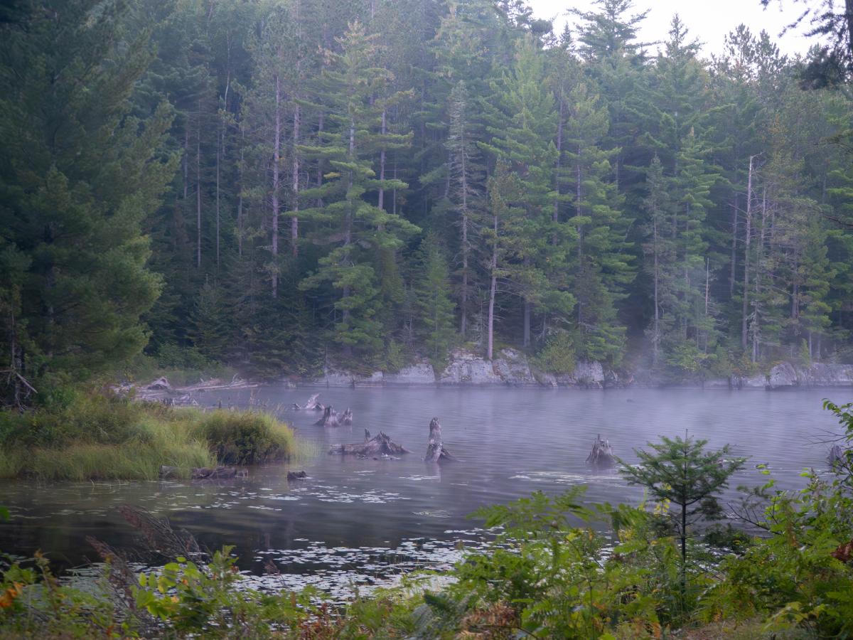 Fog on the water
