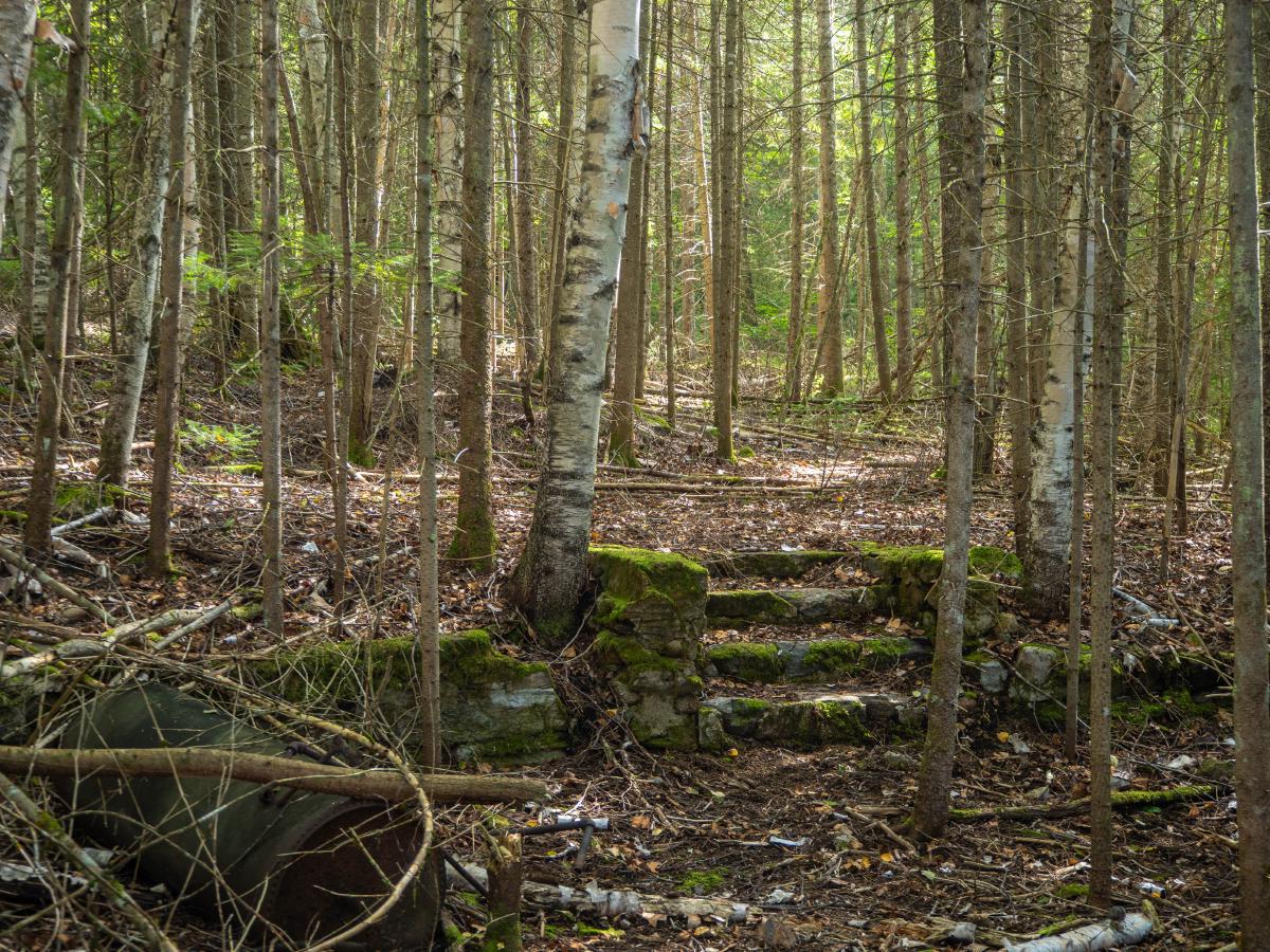 The ruins of Camp Minnesing