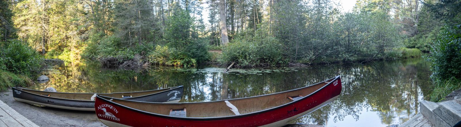 The river on the way home