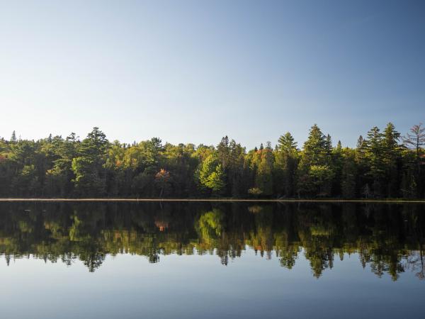Three Days in Algonquin