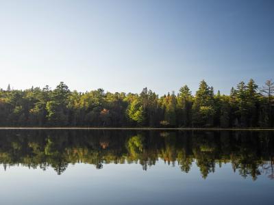 Three Days in Algonquin