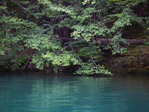 Hidden Cove at Diablo Lake